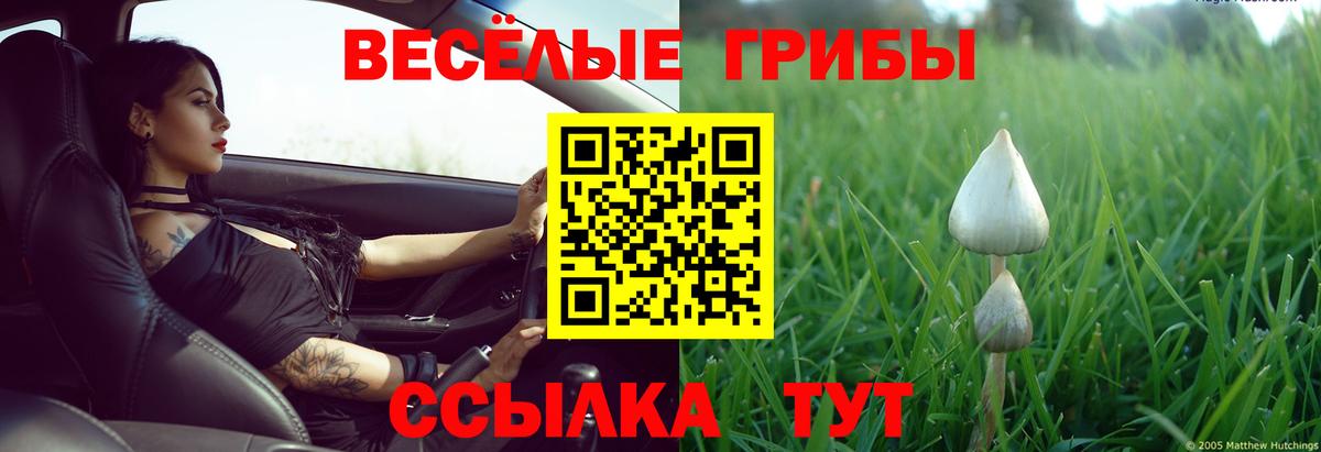 Псилоцибиновые грибы мухоморы  Вход с VPN  Дербент 